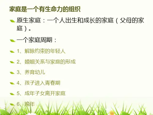 原生家庭与生活ppt课件