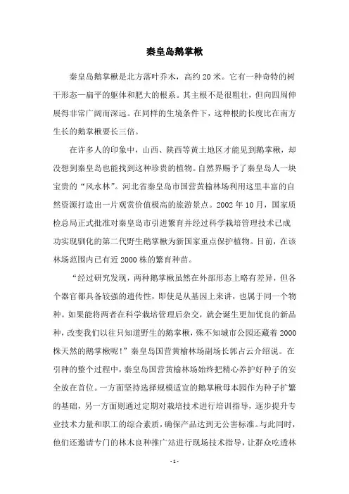 秦皇岛鹅掌楸