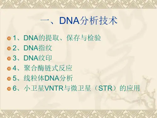 法医DNA分析技术