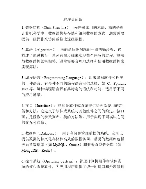程序员词语