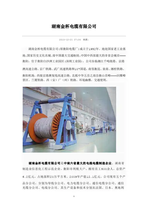 湖南金杯电缆有限公司