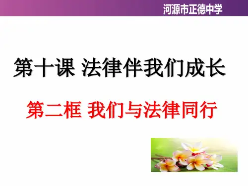 人教版《道德与法治》七年级下册课件我们与法律同行3