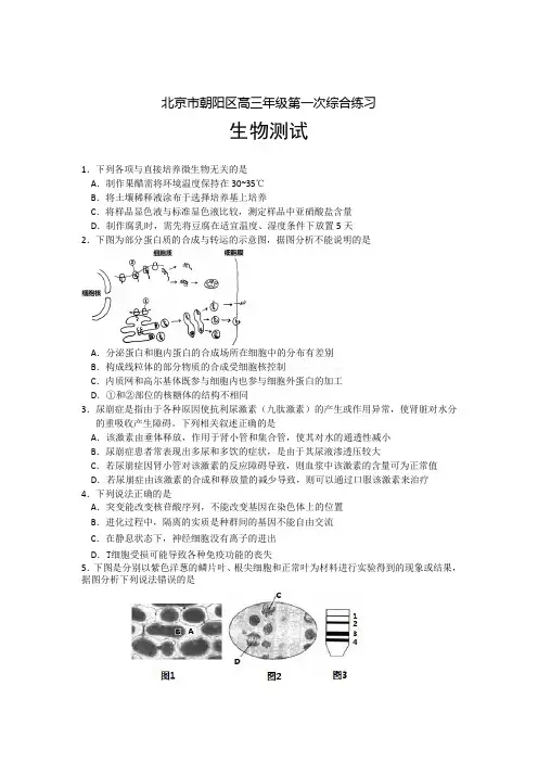 朝阳区高三一模生物试题及答案i