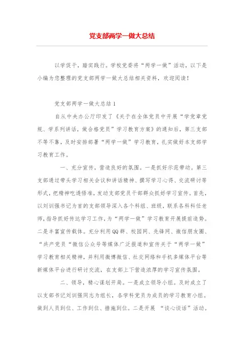 党支部两学一做大总结