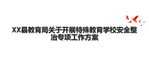 XX县教育局关于开展特殊教育学校安全整治专项工作方案
