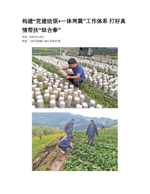 构建“党建统领+一体两翼”工作体系 打好真情帮扶“组合拳”