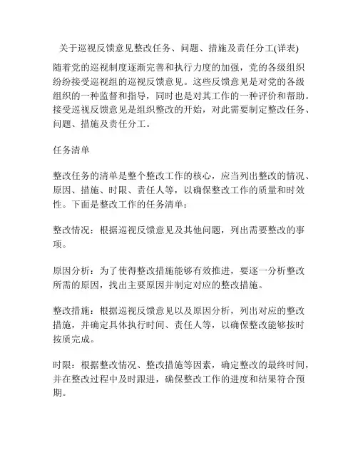 关于巡视反馈意见整改任务、问题、措施及责任分工(详表)