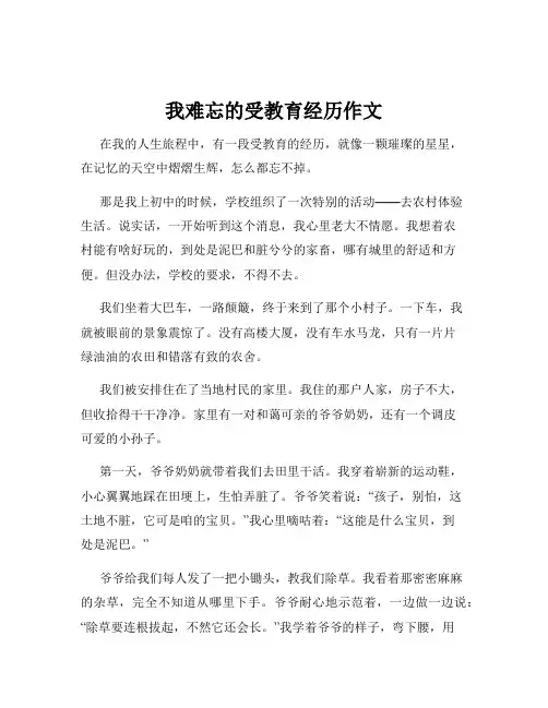 我难忘的受教育经历作文