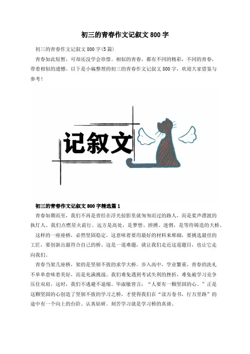 初三的青春作文记叙文800字