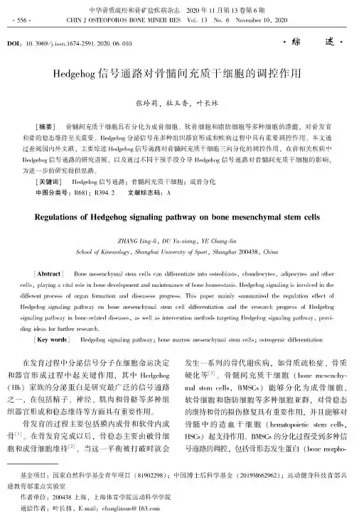 Hedgehog信号通路对骨髓间充质干细胞的调控作用