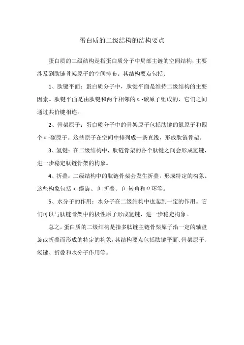 蛋白质的二级结构的结构要点