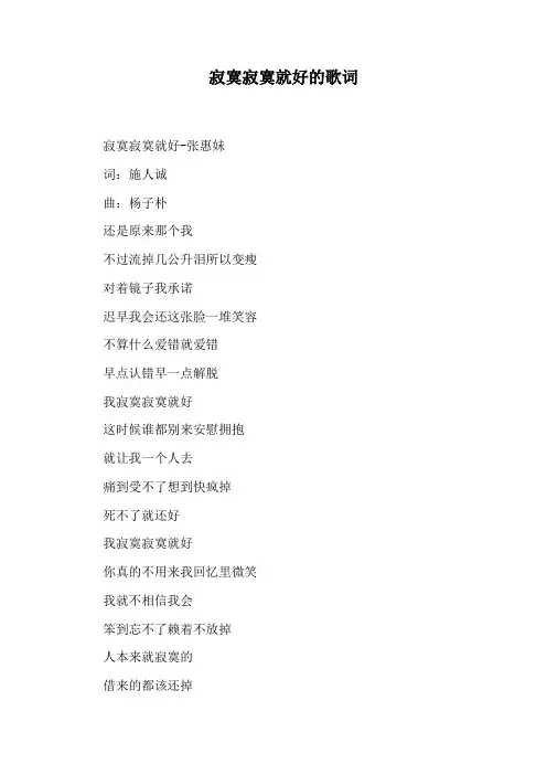 寂寞寂寞就好的歌词