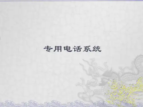 专用电话系统