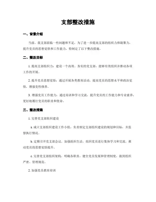 支部整改措施