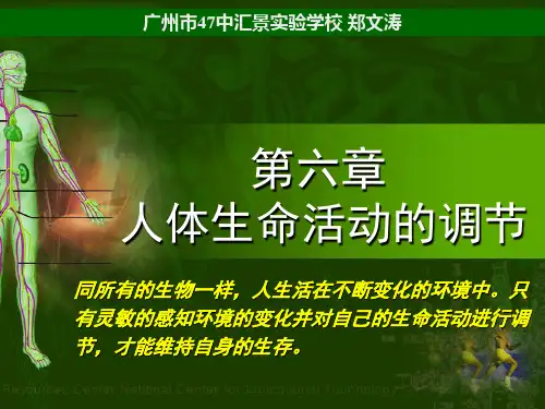 人体对外界的感觉——眼和视觉(1)20页PPT