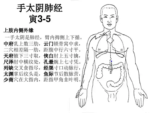 十四经络循行及歌诀
