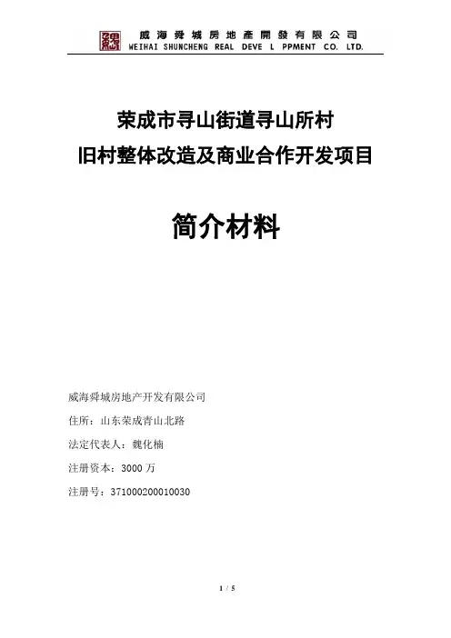 项目简介材料