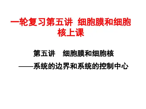 一轮复习第五讲 细胞膜和细胞核上课 ppt课件