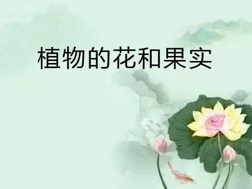 《植物的花和果实》PPT课件