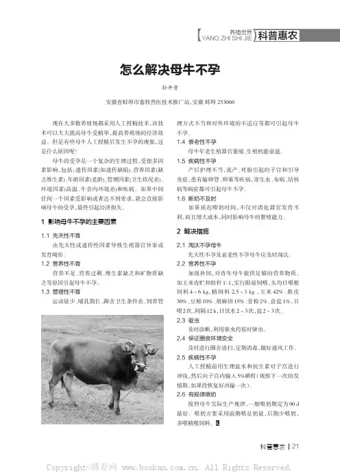 怎么解决母牛不孕