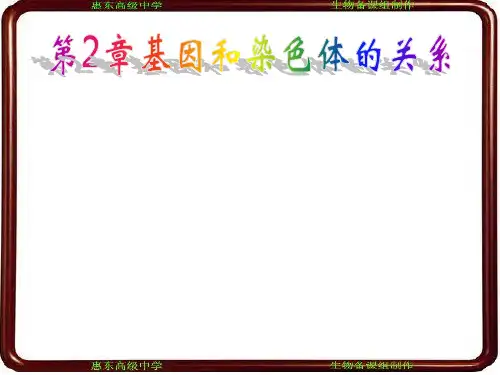 同源染色体分离