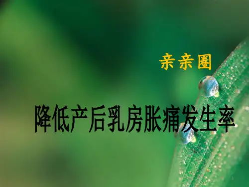 品管圈(产科)