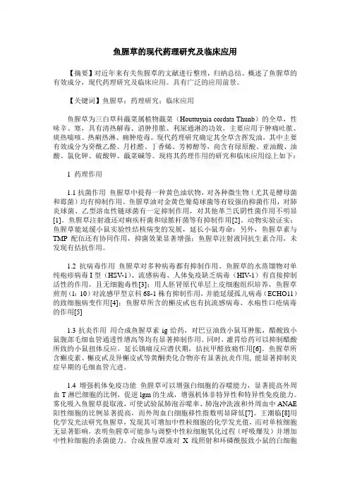 鱼腥草的现代药理研究及临床应用