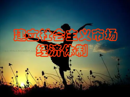 建立社会主义市场经济体制PPT课件
