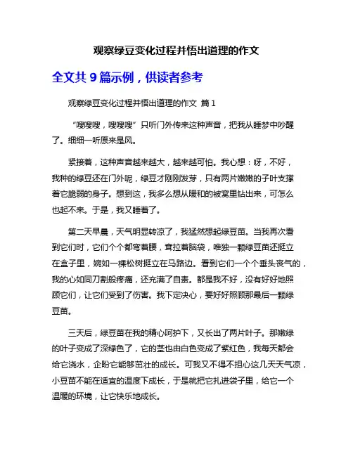 观察绿豆变化过程并悟出道理的作文