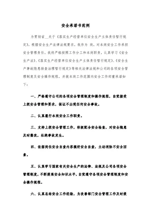 安全承诺书范例(四篇)
