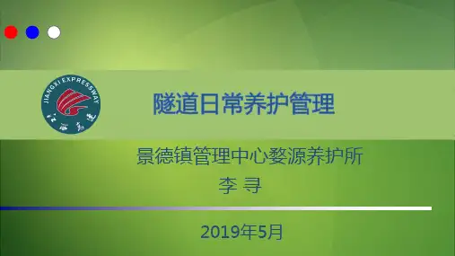 (完整PPT)隧道日常养护管理