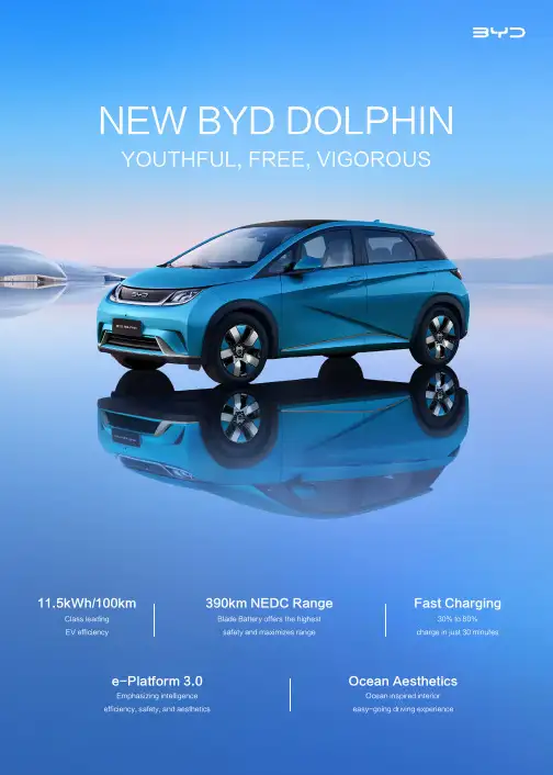 BYD DOLPHIN 2023款 2023 BYD DOLPHIN说明书