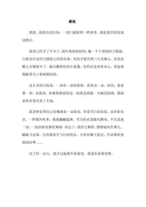 人教版三年级语文下册《荷花》课文