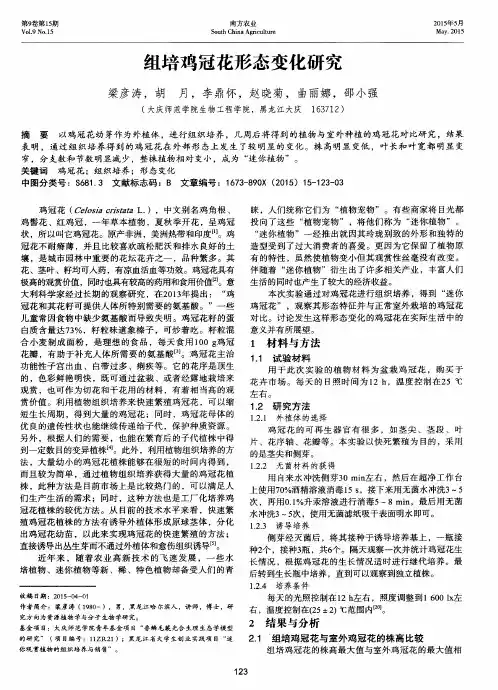 组培鸡冠花形态变化研究