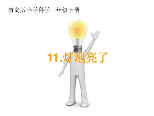 小学科学《灯泡亮了》