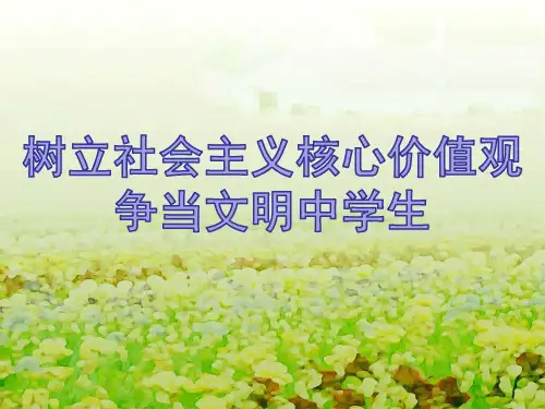 社会主义核心价值观-主题班会课,精品PPT