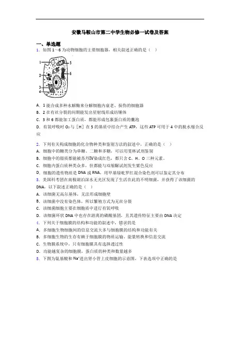安徽马鞍山市第二中学生物必修一试卷及答案