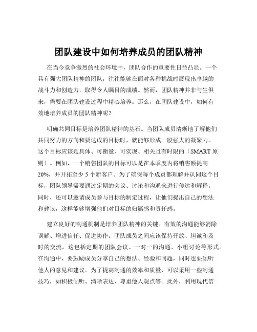 团队建设中如何培养成员的团队精神