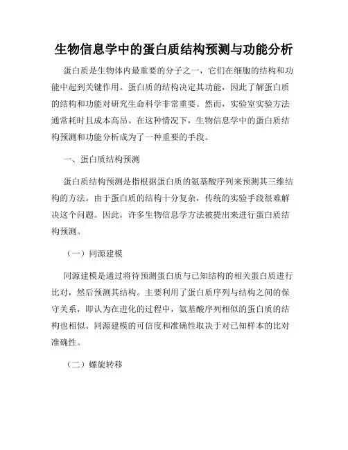 生物信息学中的蛋白质结构预测与功能分析