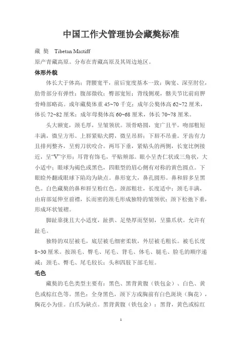 藏獒标准