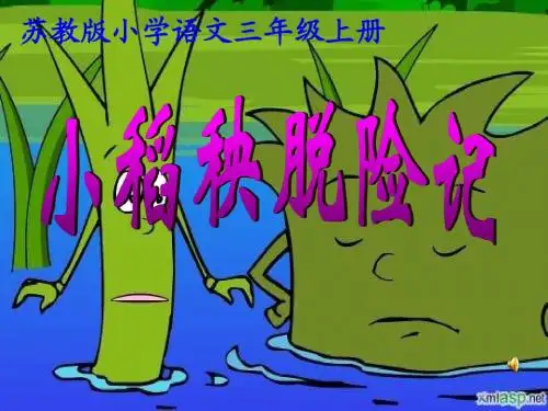 18小稻秧脱险记ppt
