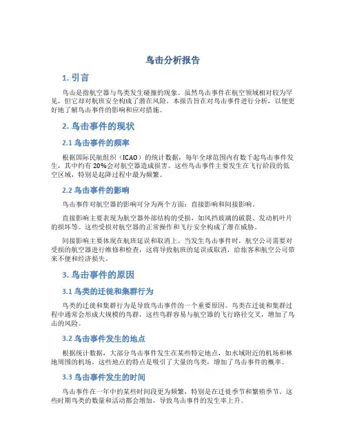 鸟击分析报告