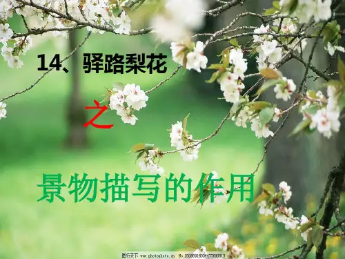 景物描写的作用
