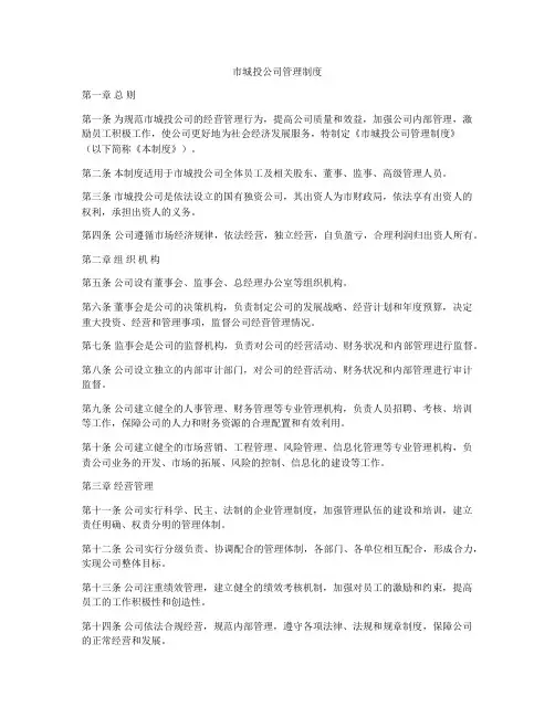 市城投公司管理制度
