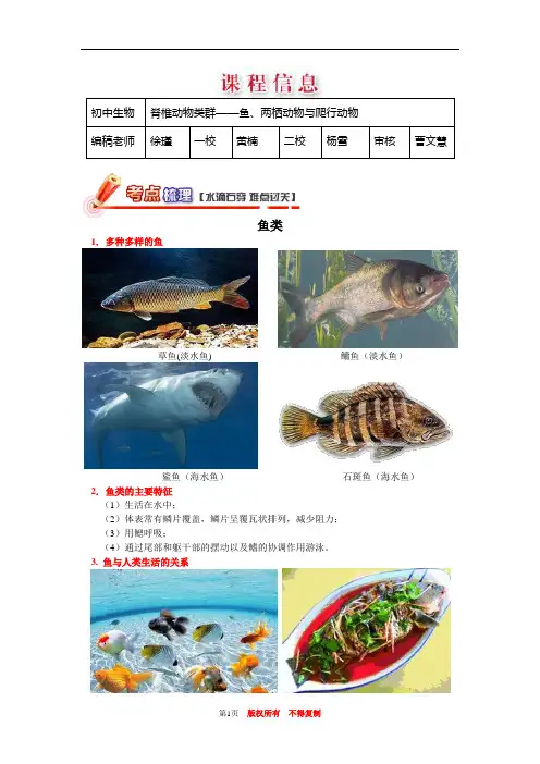 高中生物——脊椎动物类群——鱼、两栖动物与爬行动物
