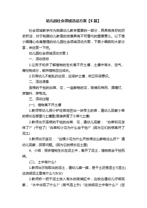 幼儿园社会领域活动方案【5篇】