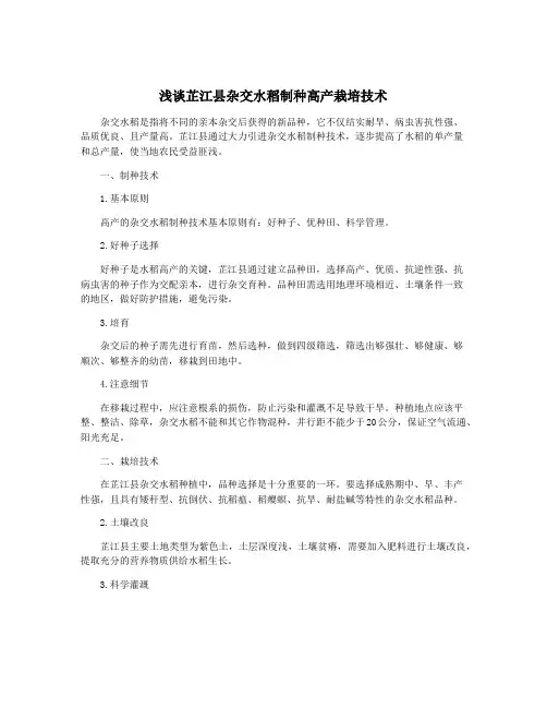 浅谈芷江县杂交水稻制种高产栽培技术