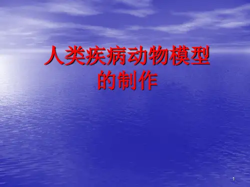 人类疾病动物模型ppt课件