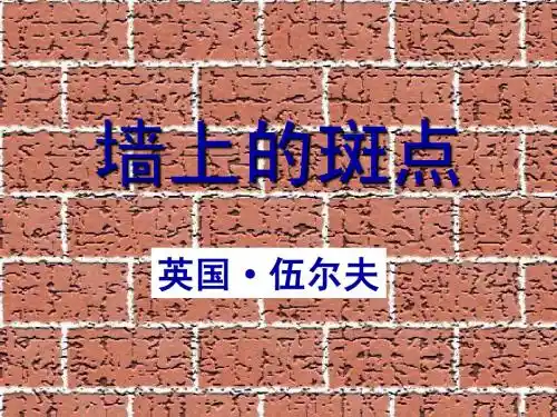 《墙上的斑点》