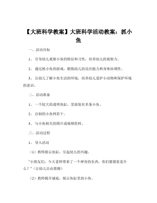 【大班科学教案】大班科学活动教案：抓小鱼